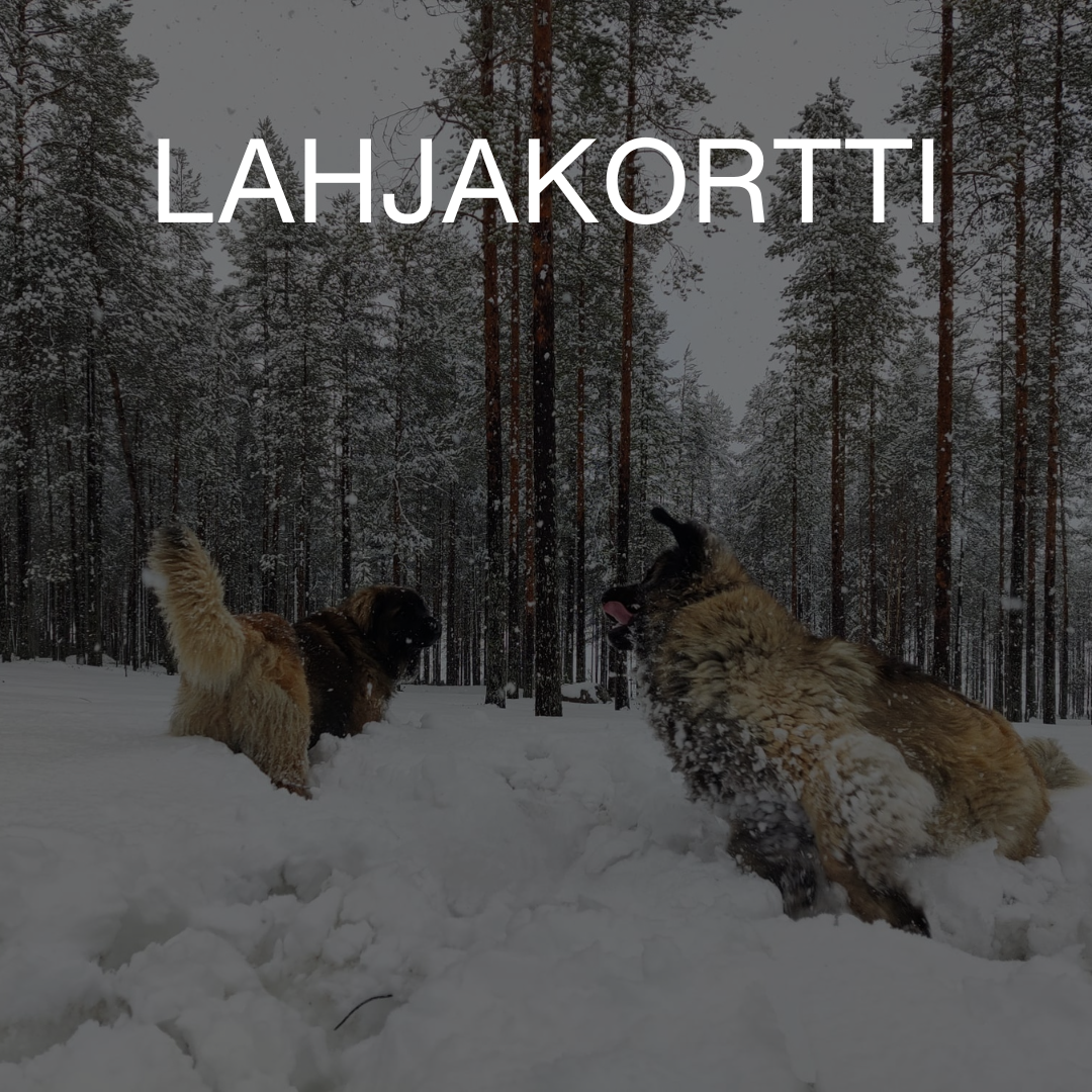 Lahjakortti Norvajärven koirametsään